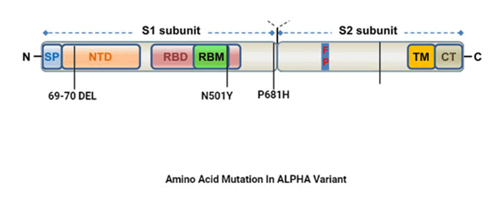 IPBJR-Amino