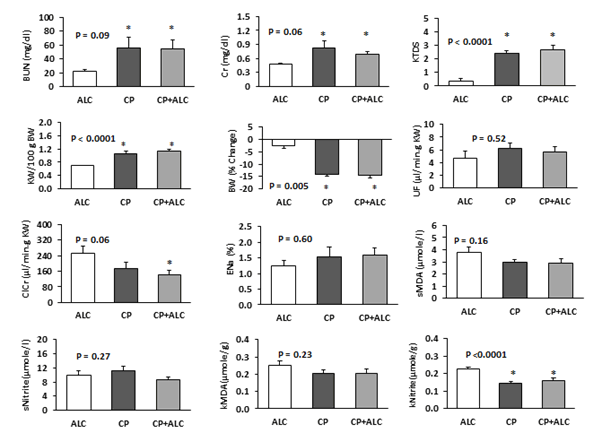 Journal-Drug-Alcohol-Research-Serum