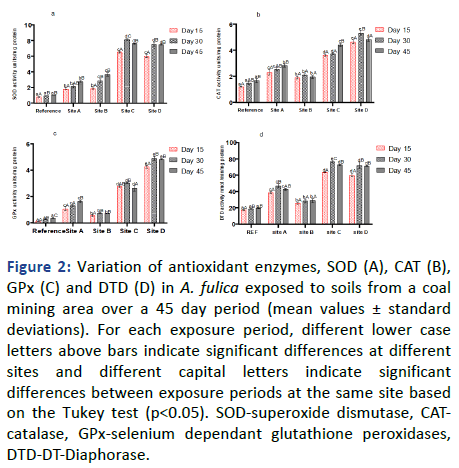 Biomarkers-Journal