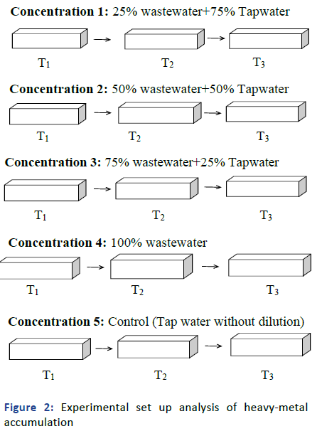 Aquatic-Toxicology