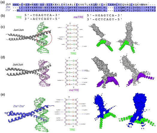 Biochemistry-Molecular-Biology-Journal-Comparative