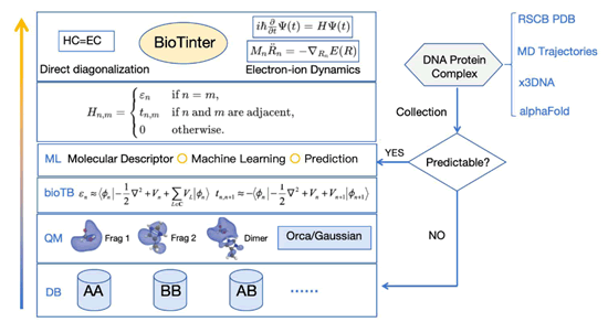 Biochemistry-Molecular-Biology-Journal-Workflow