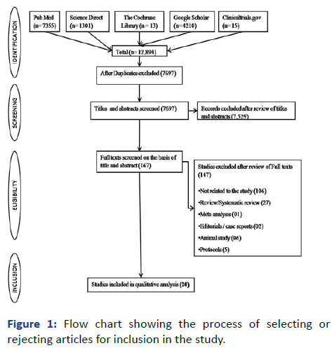 IPCP-Flow