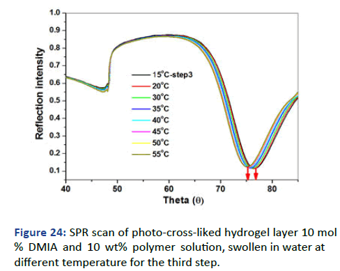 IPPS-layer