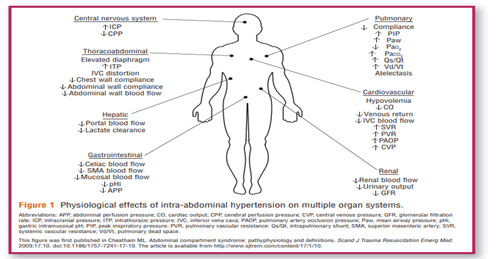 Journal-Intensive-Critical-Care-Physiological