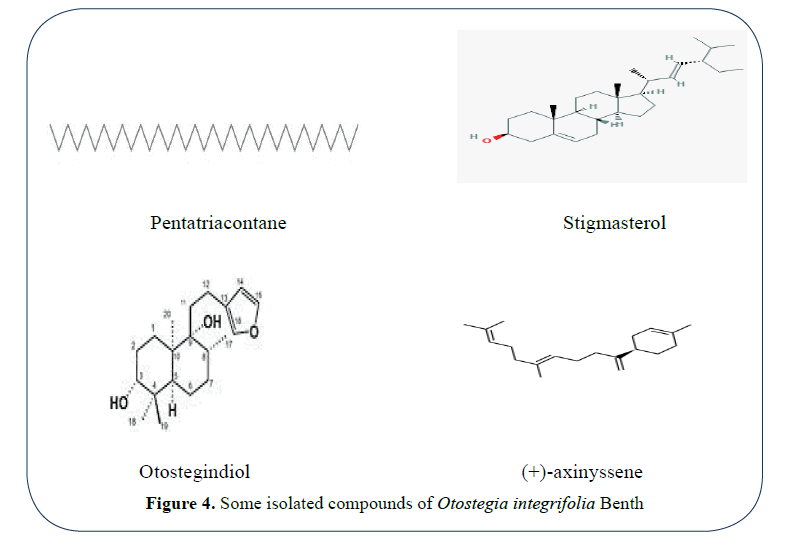 advanced-drug-delivery-integrifolia