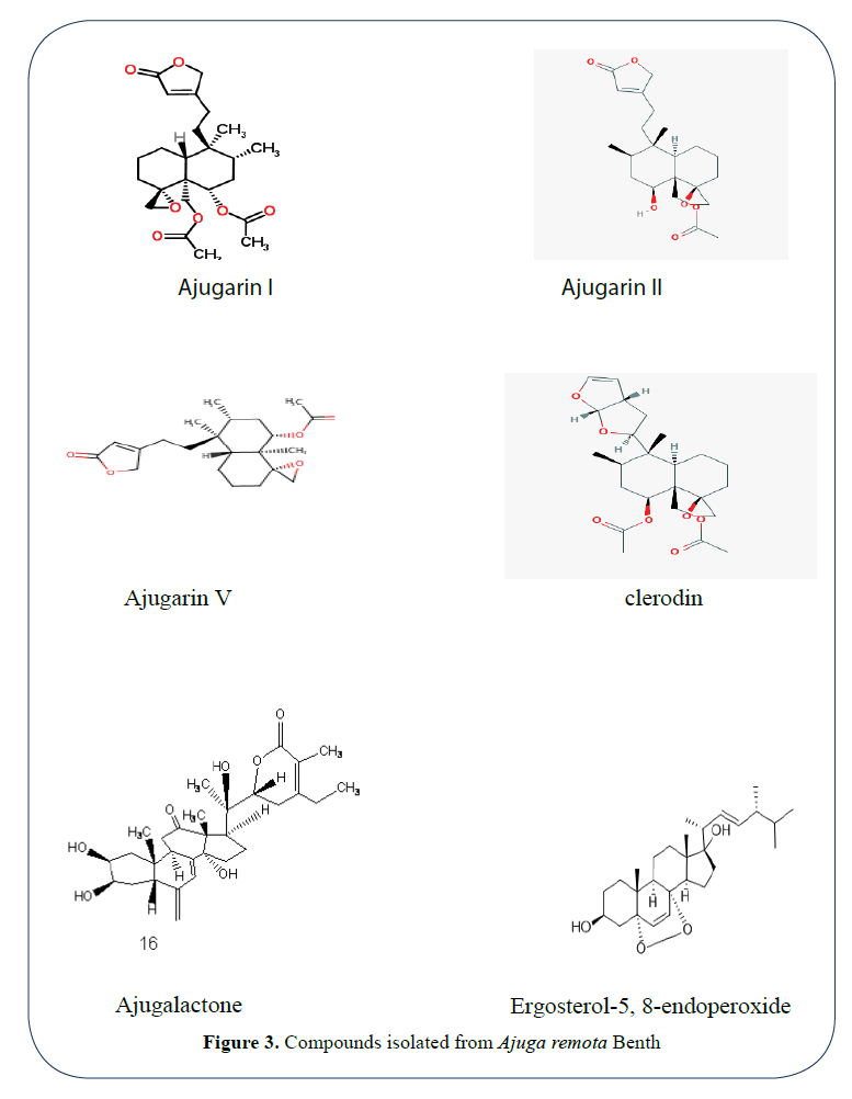 advanced-drug-delivery-remota