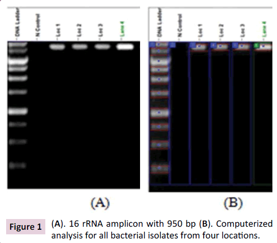 biochem-molbio-computerized-analysis