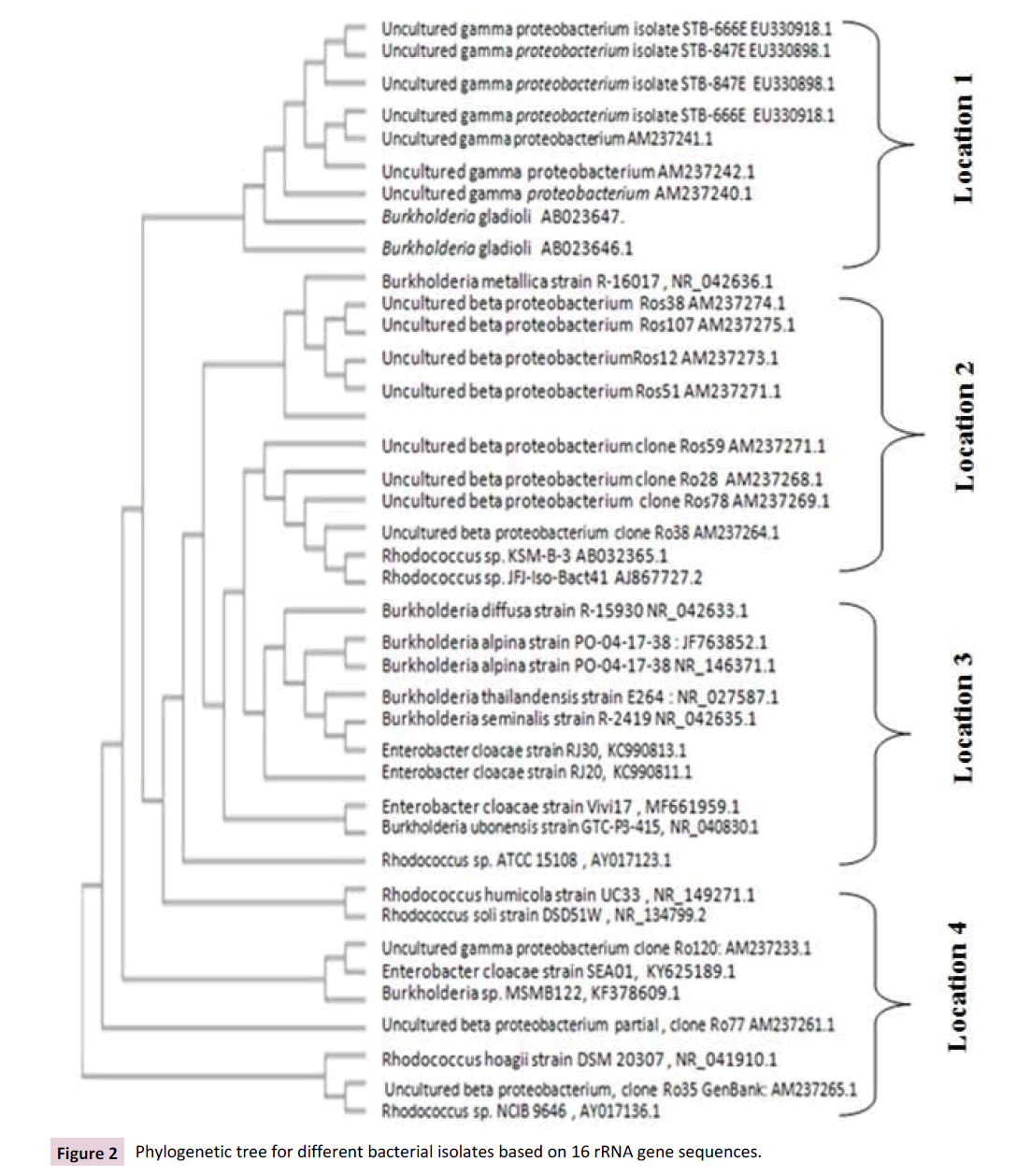 biochem-molbio-gene-sequences