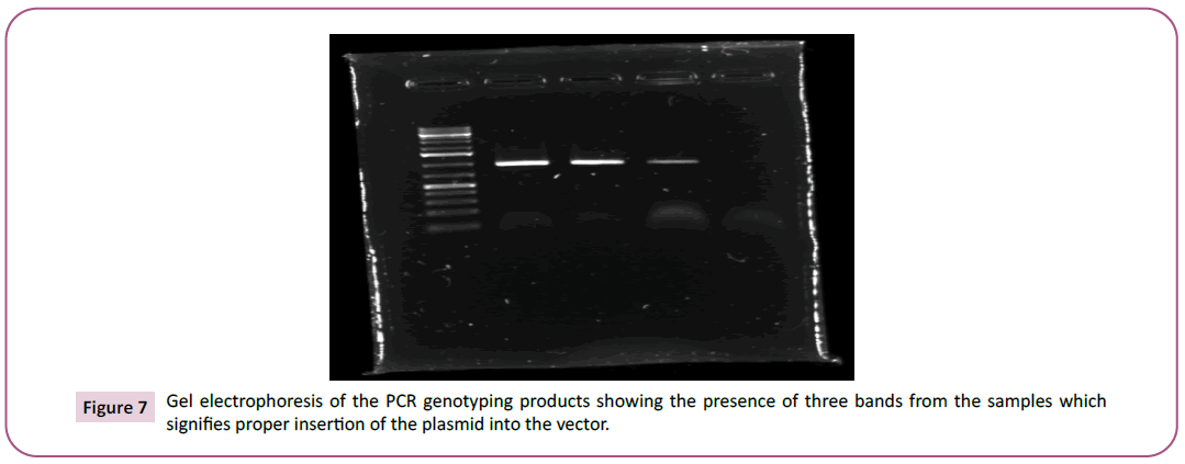 biochemistry-molecular-biology-genotyping-products