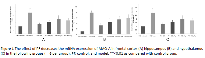 biomarkers-decreases-frontal-cortex