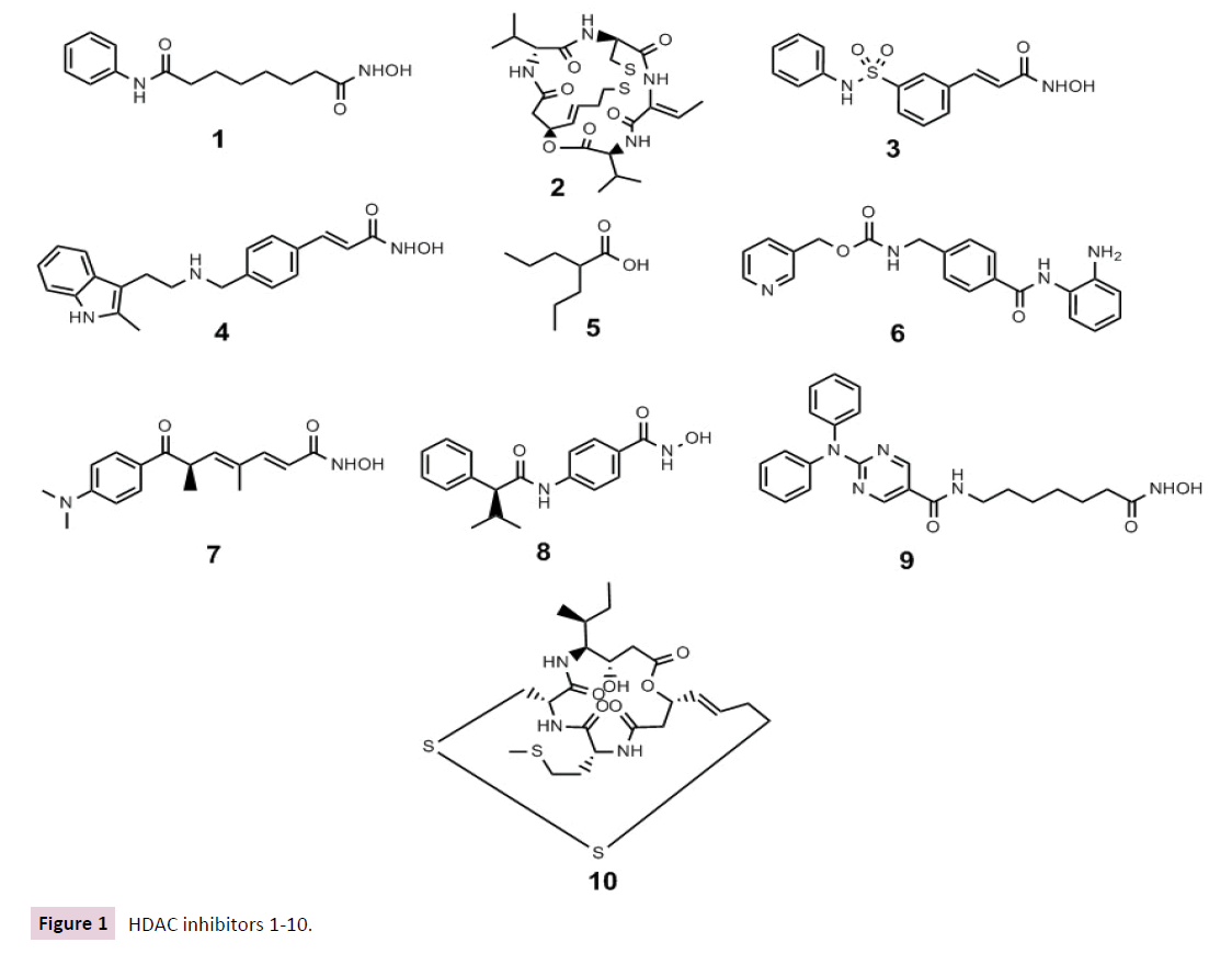 clinical-epigenetics-HDAC-inhibitors