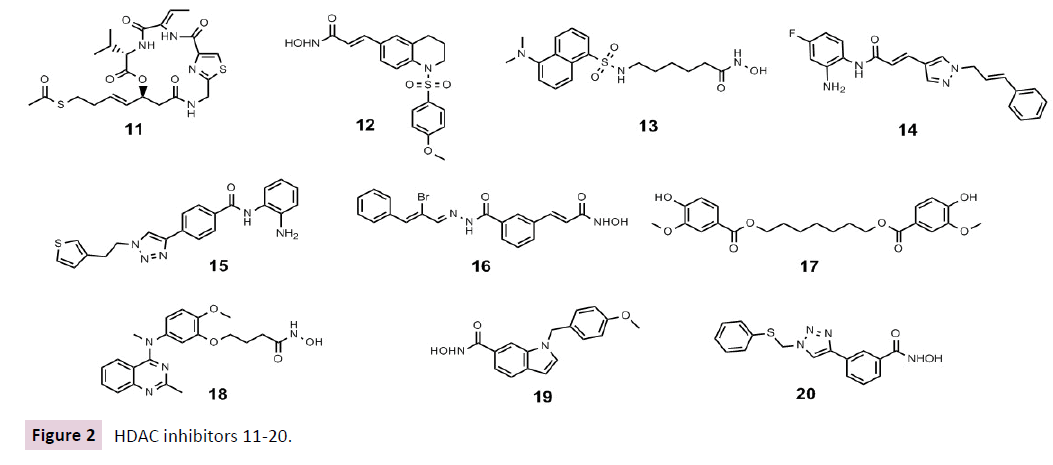 clinical-epigenetics-HDAC-inhibitors