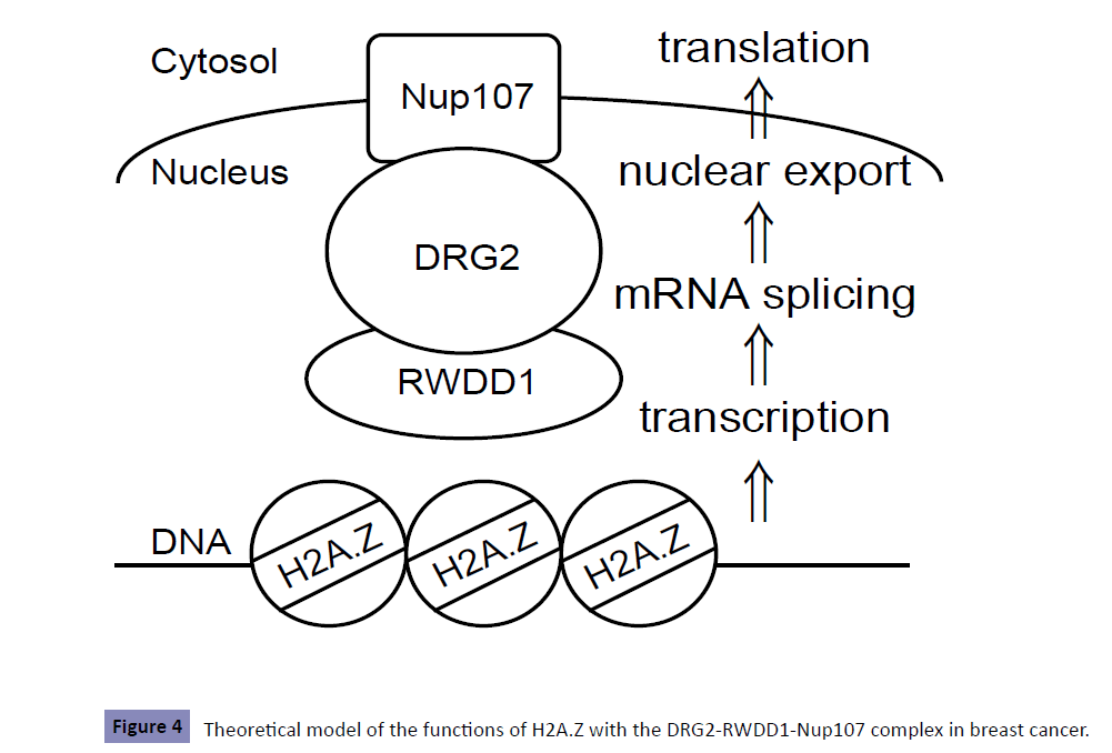 clinical-epigenetics-Theoretical-model