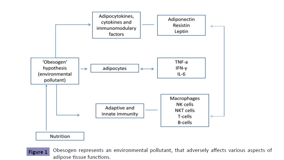 clinical-epigenetics-environmental-pollutant