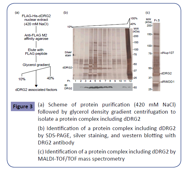 clinical-epigenetics-glycerol-density