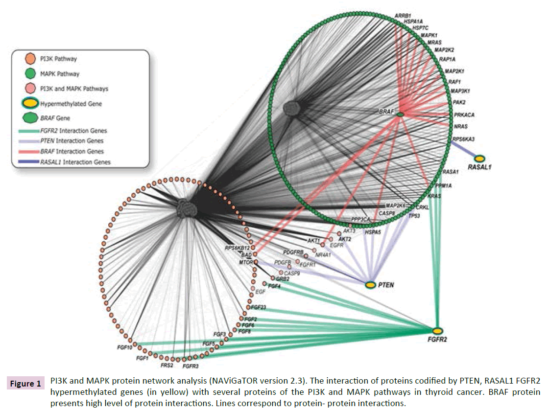 clinical-epigenetics-protein-network-analysis