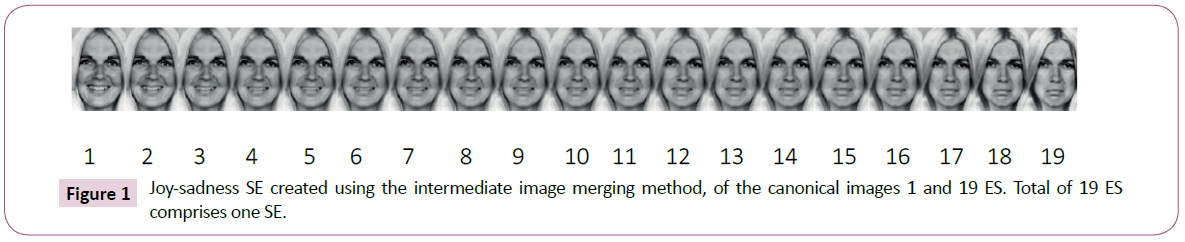 clinical-psychiatry-image-merging-method