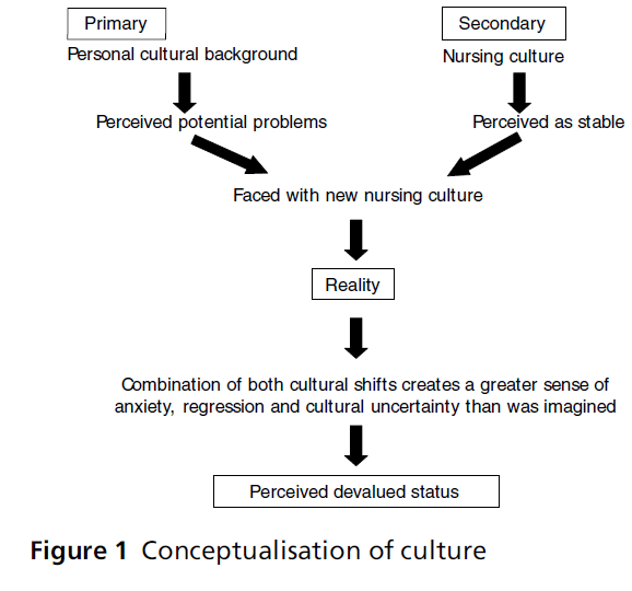 diversityhealthcare-Conceptualisation-culture