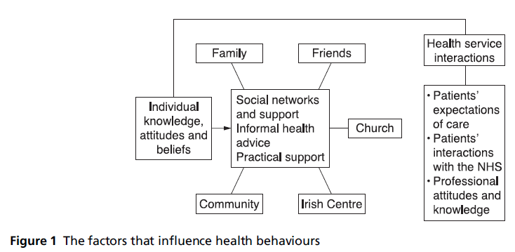 diversityhealthcare-health-behaviours