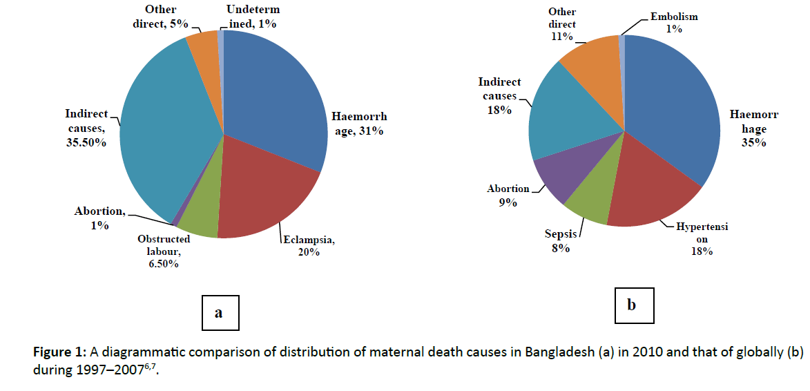 An Analysis on Maternal Healthcare Situation in Bangladesh A Re