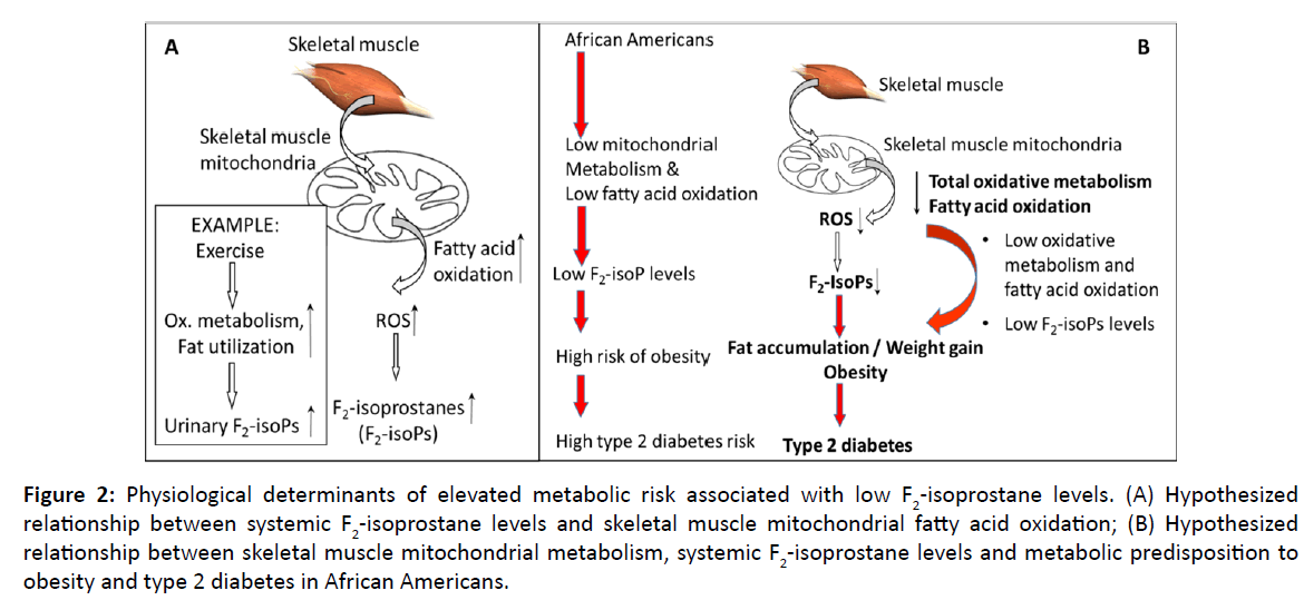 diversityhealthcare-metabolic-predisposition