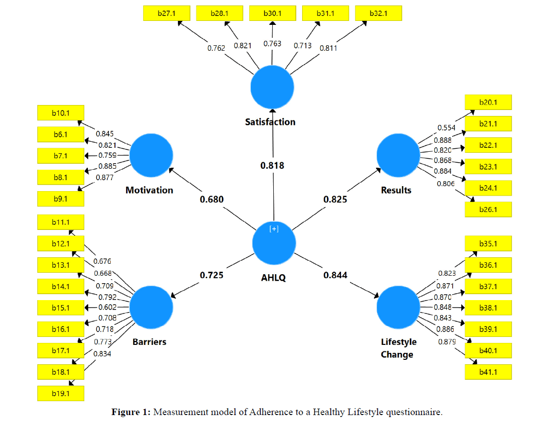 diversityhealthcare-model