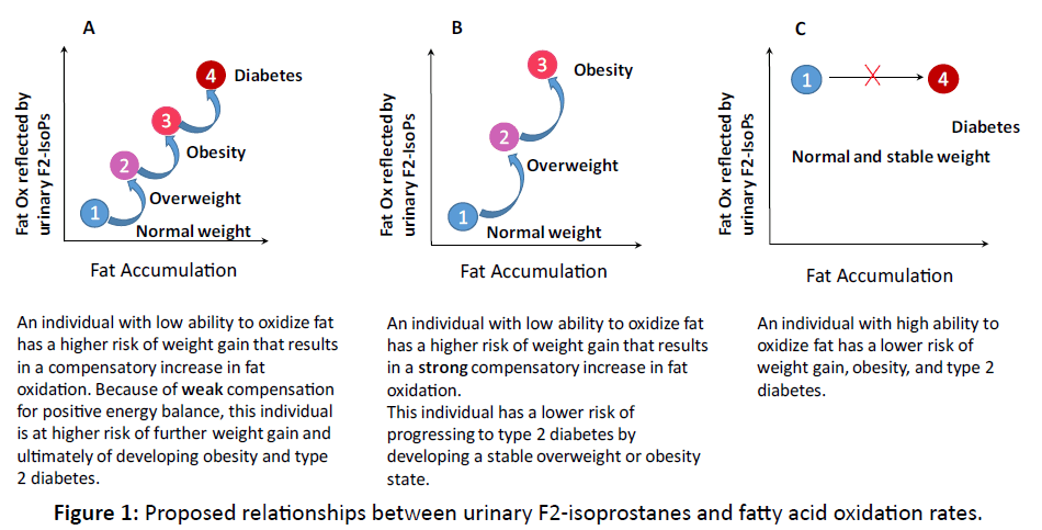 diversityhealthcare-oxidation-rates