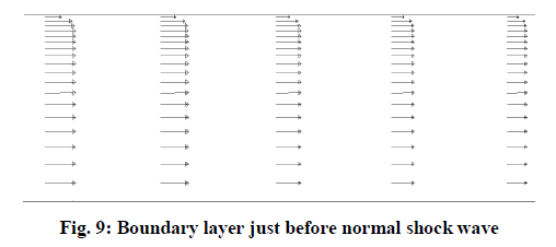 experimental-biology-Boundary-layer