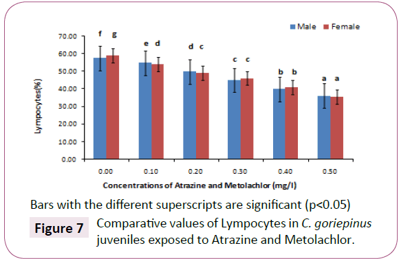 green-chemistry-Comparative-values