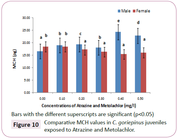 green-chemistry-goriepinus-juveniles