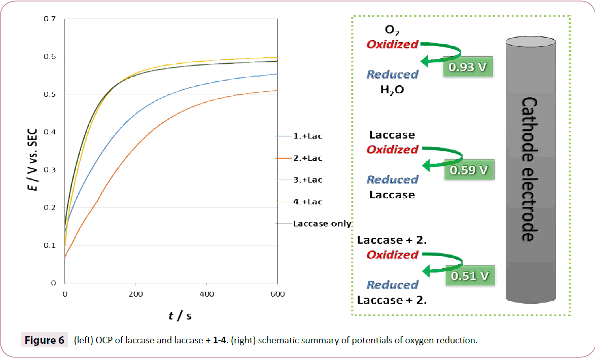 green-chemistry-oxygen-reduction