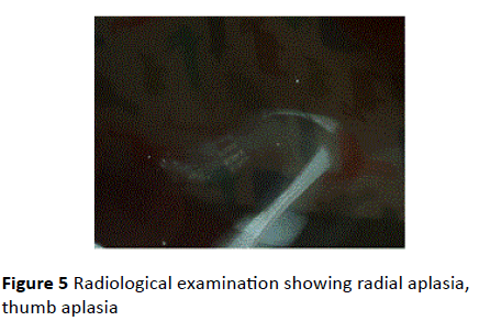 gynecology-obstetrics-Radiological-examination