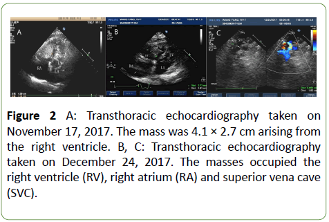 gynecology-obstetrics-echocardiography