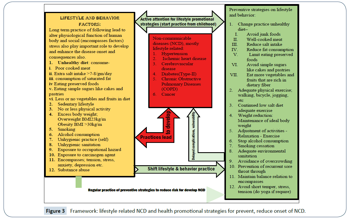 role-of-health-promotion-strategies-on-lifestyle-and-behavioral-changes