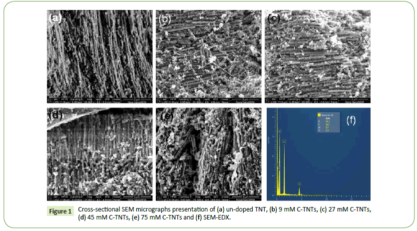 nanoscience-nanotechnology-research-cross-sectional