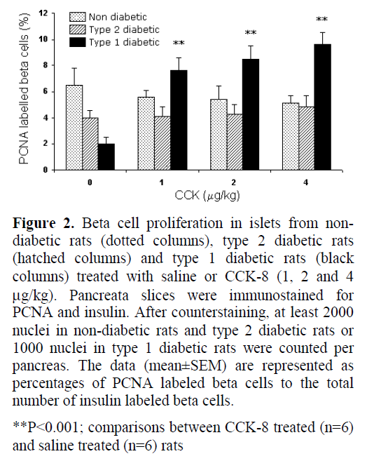 pancreas-beta-cell-proliferation