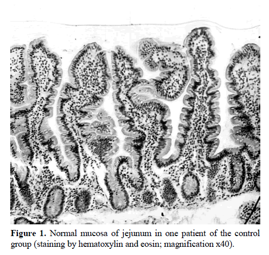 pancreas-mucosa-jejunum-hematoxylin