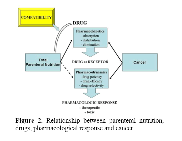 pancreas-pharmacological-response-cancer