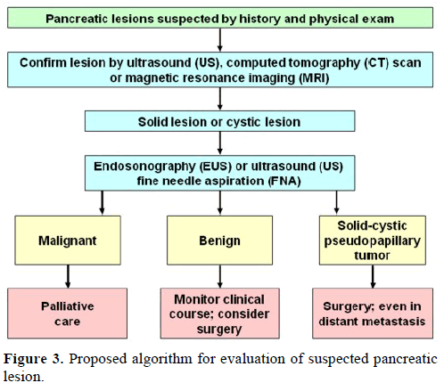 pancreas-proposed-algorithm-lesion