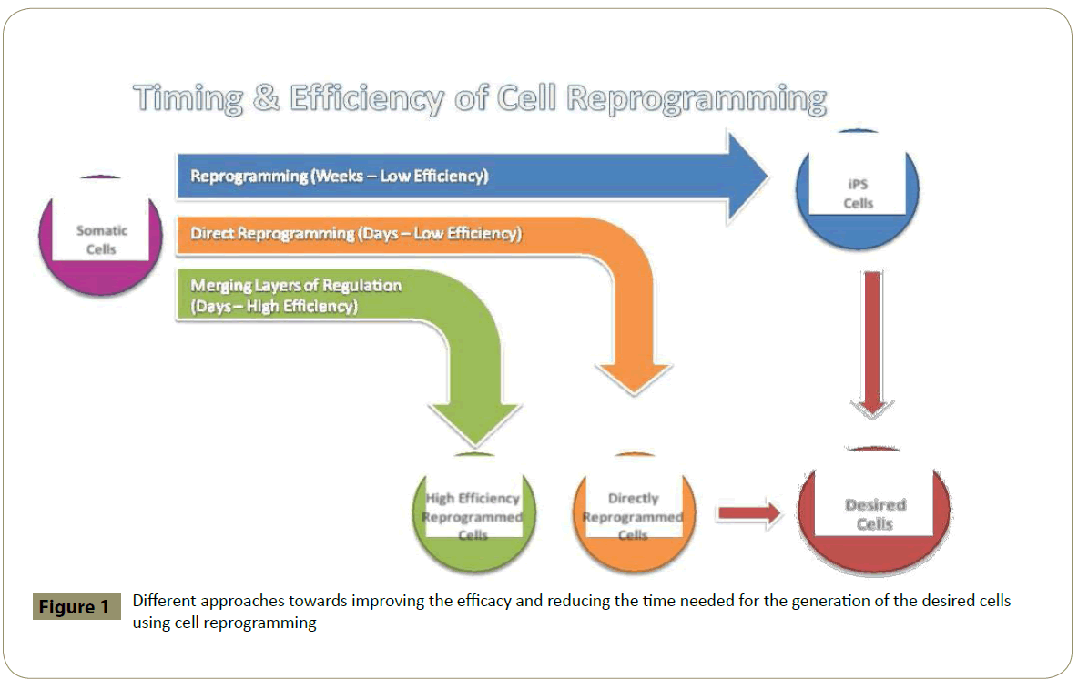 stemcells-improving-efficacy